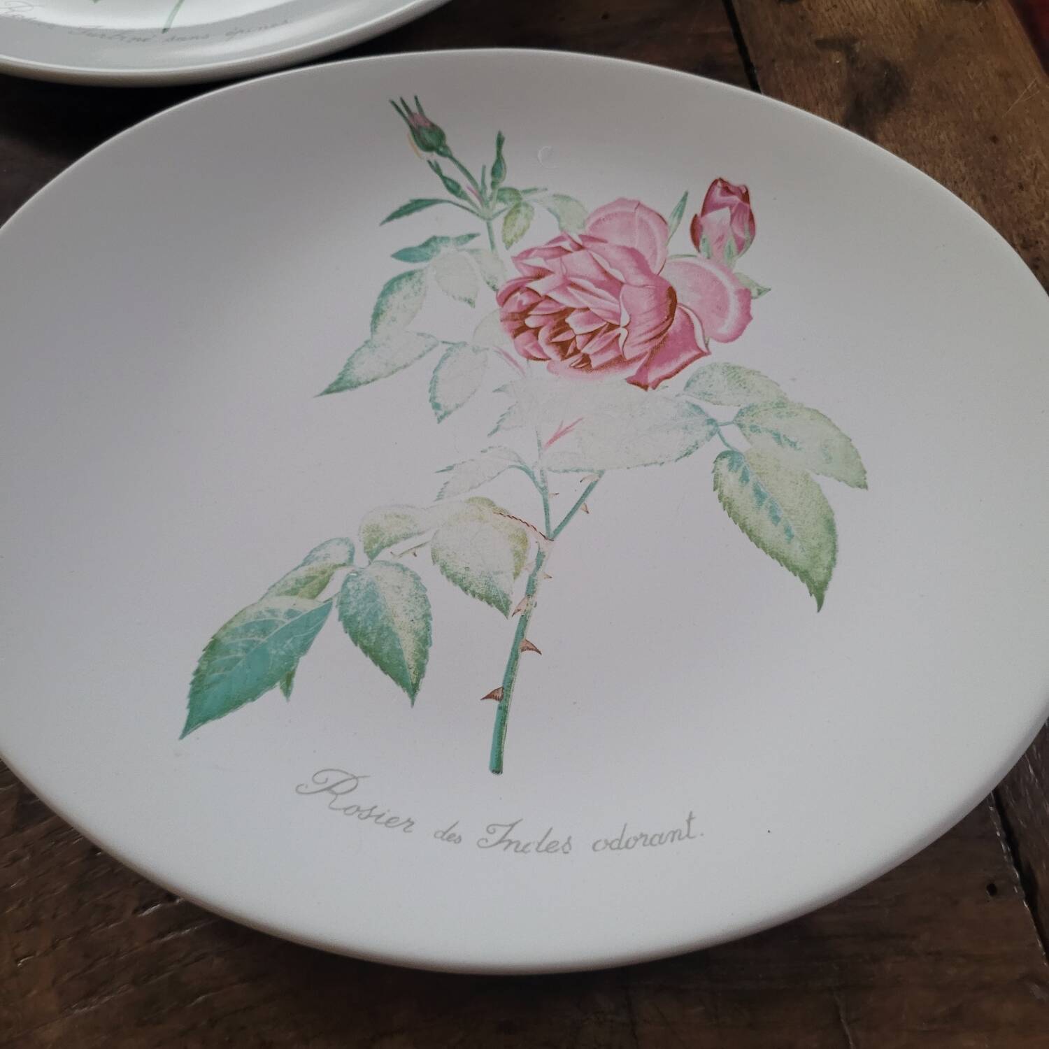 8 oval plates Salins – 1970s – Botanical roses