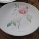 8 oval plates Salins – 1970s – Botanical roses
