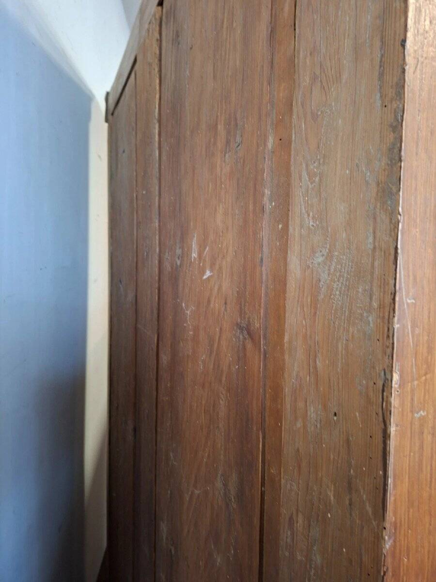 Hand-painted Alsatian wardrobe with floral decoration, 19th century.