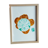 Ornamental cabbage - 13 x 18 cm - winter flower series