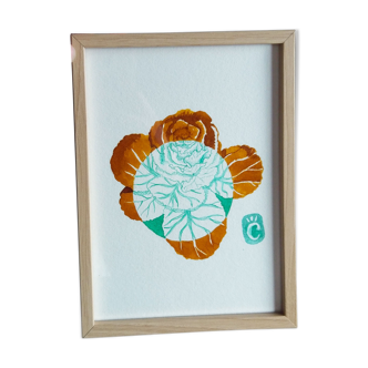 Ornamental cabbage - 13 x 18 cm - winter flower series