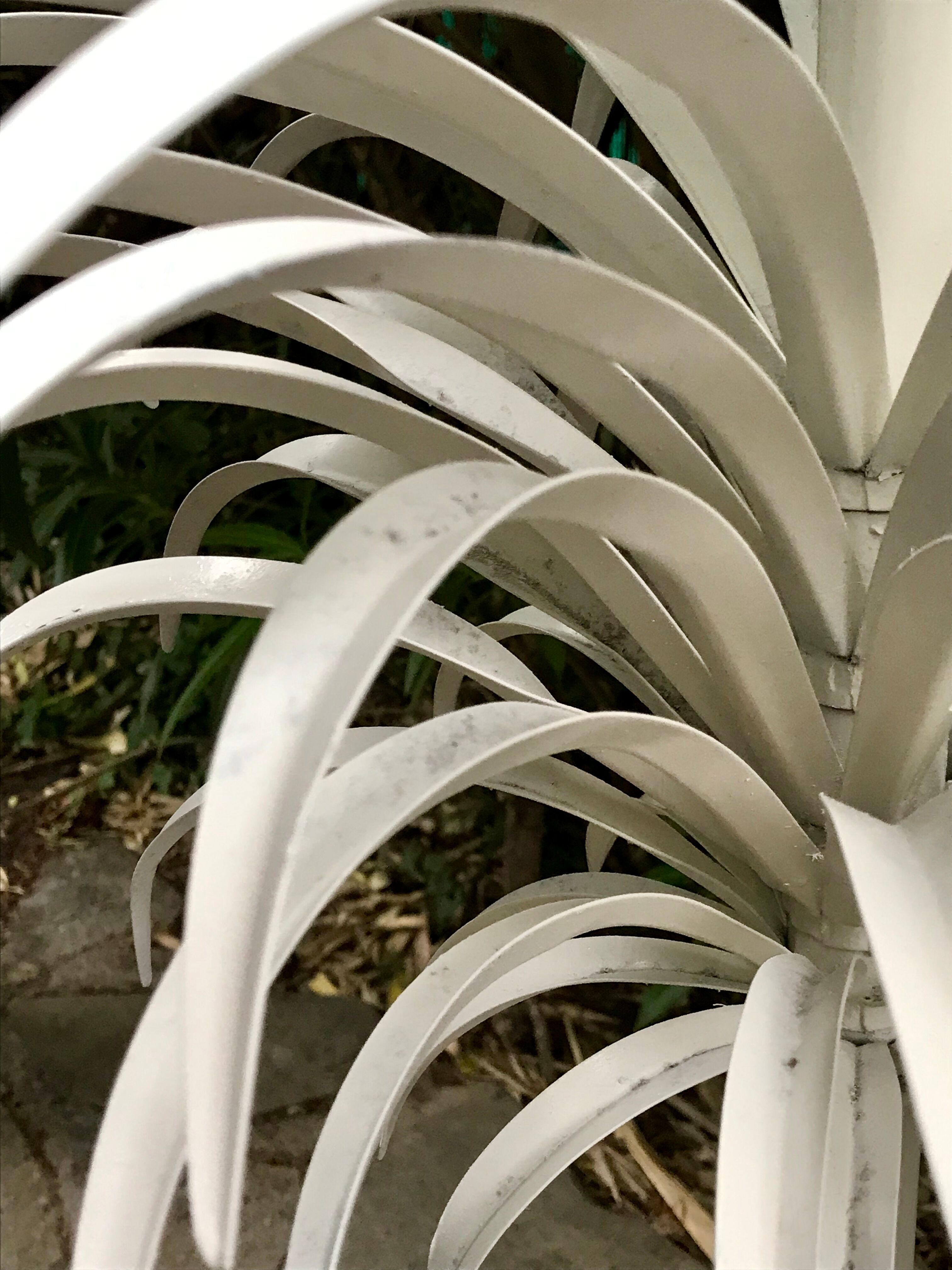 Palm lamppost by Sergio Terzani