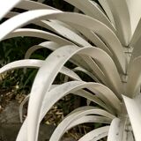 Palm lamppost by Sergio Terzani