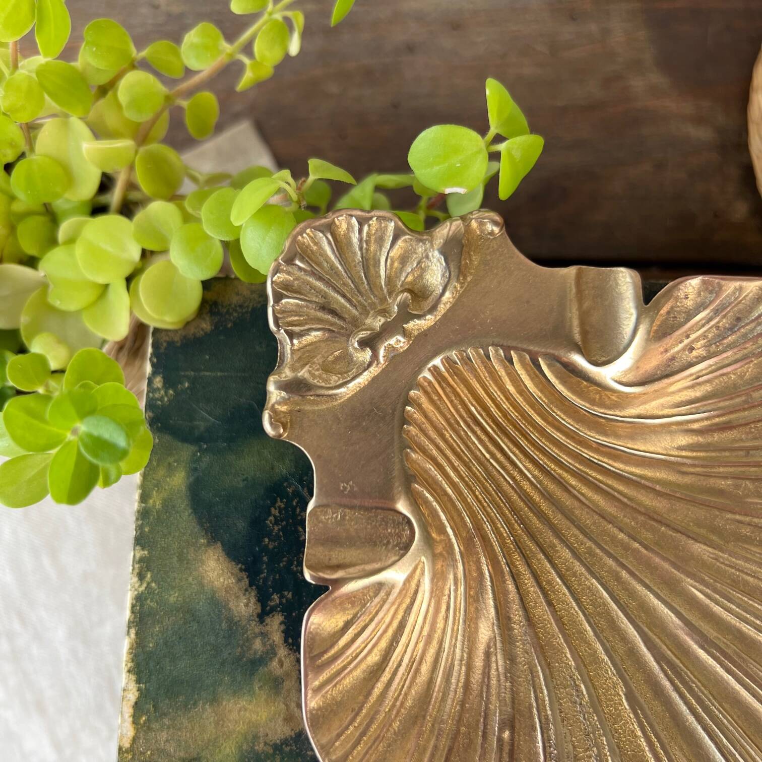 Scallop shell pocket in brass
