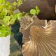 Scallop shell pocket in brass