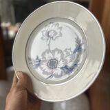 Set of 12 antique porcelain plates with anemone pattern + matching large plate 29.5 cm