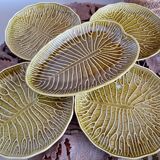 Plates Gien lotus flowers