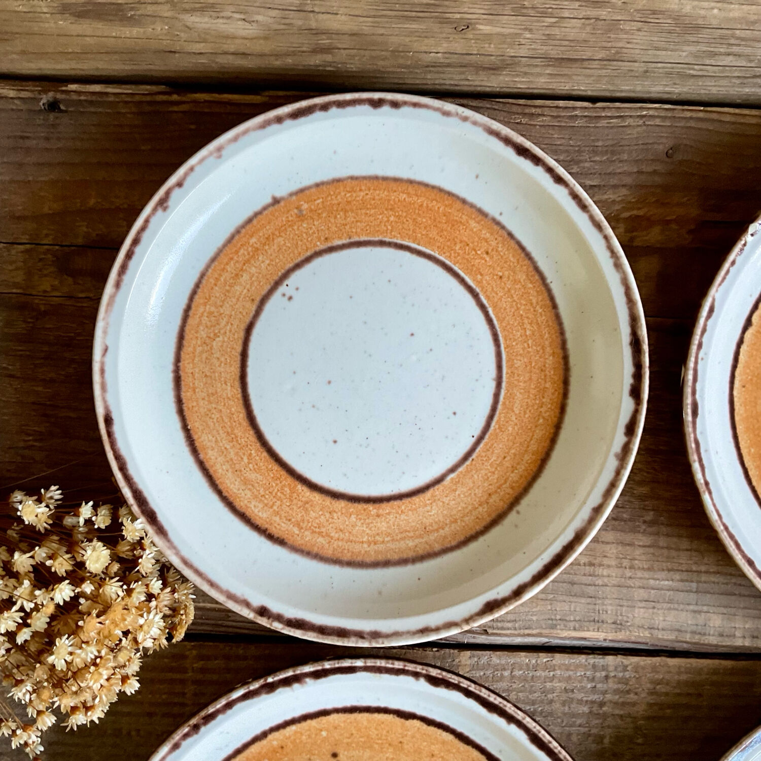 6 vintage Gien plates