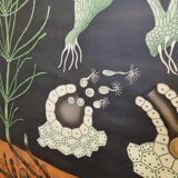 Botanical board coated tissue