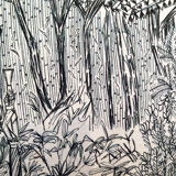 sketch