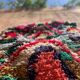 Rug Colour 185x80cm