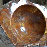 Empty pocket or ashtray in fossilized wood