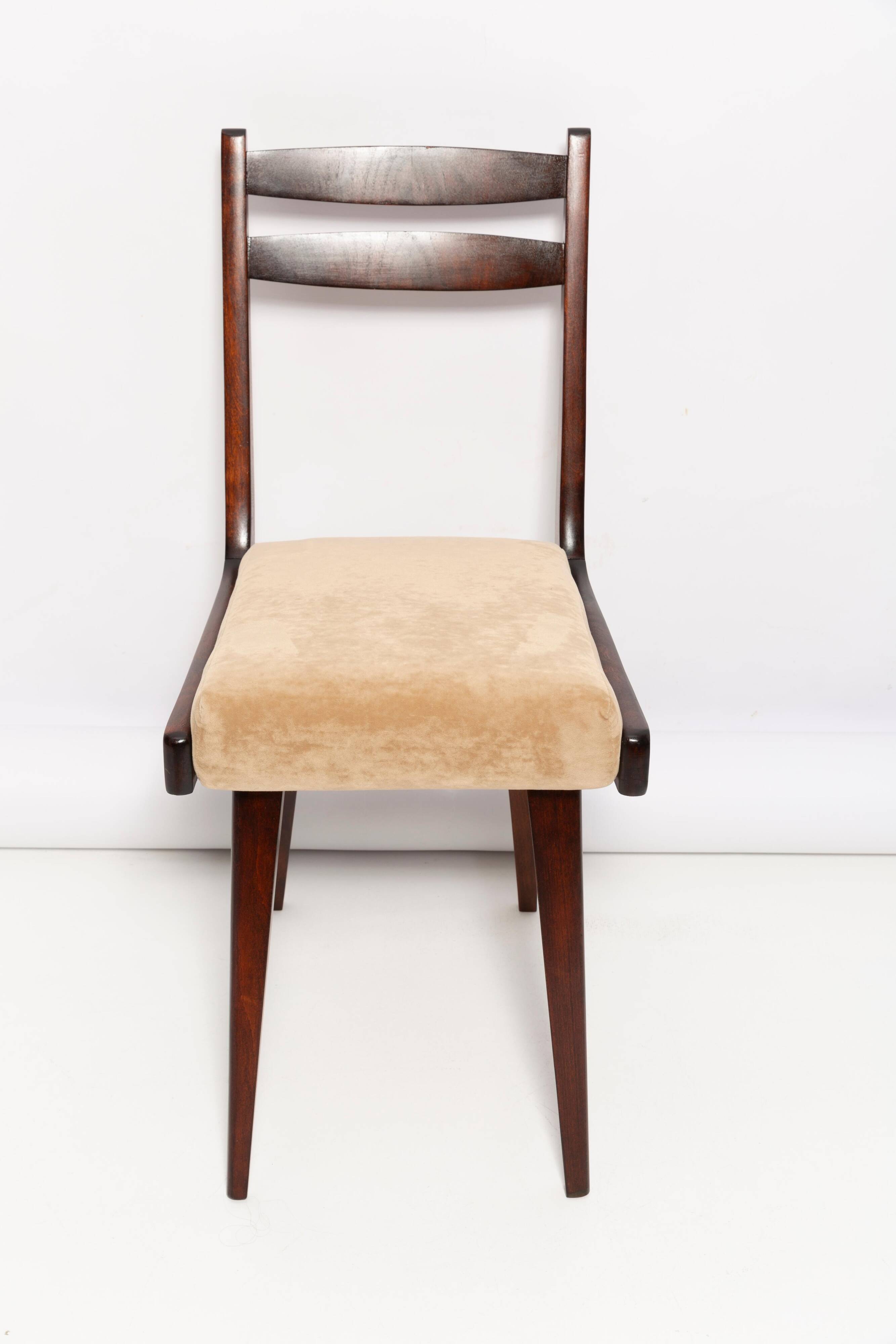 Chaise Mid Century Gazelle II en Velours Beige et Bois de Hêtre, Europe, 1960s
