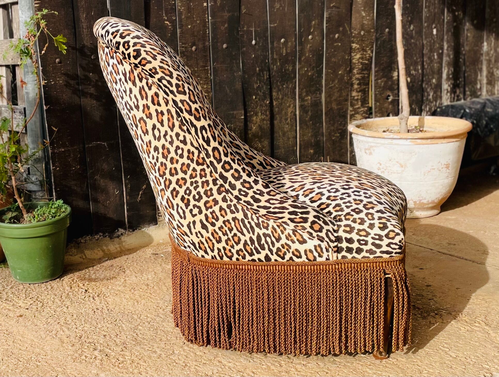 Leopard Toad Armchair