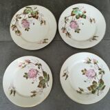 Lot de 10 assiettes anciennes