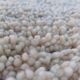 Moroccan Azilal handmade rug