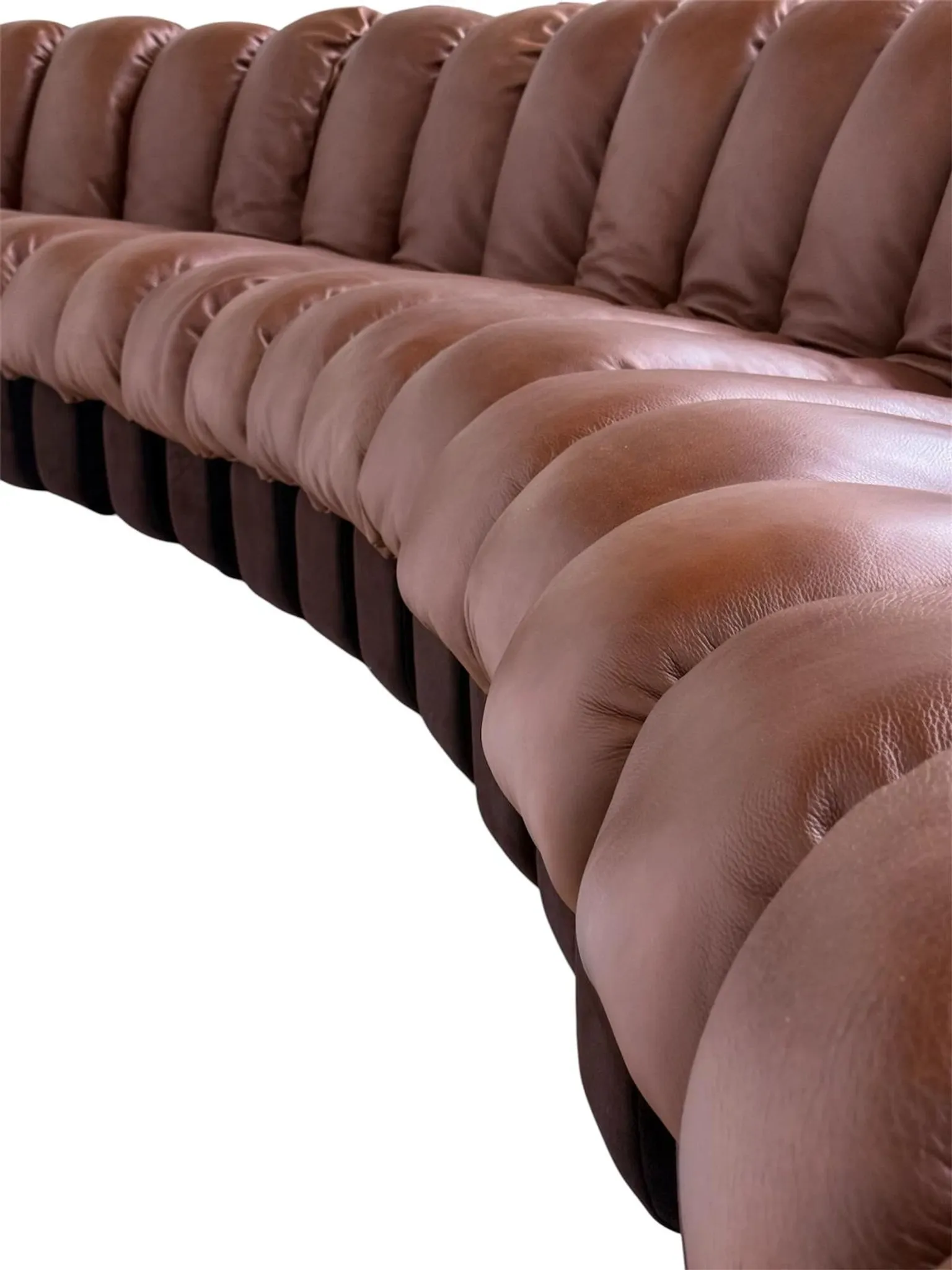 De Sede Ds600 Snake in cognac leather, 20 elements (in NEW CONDITION)!