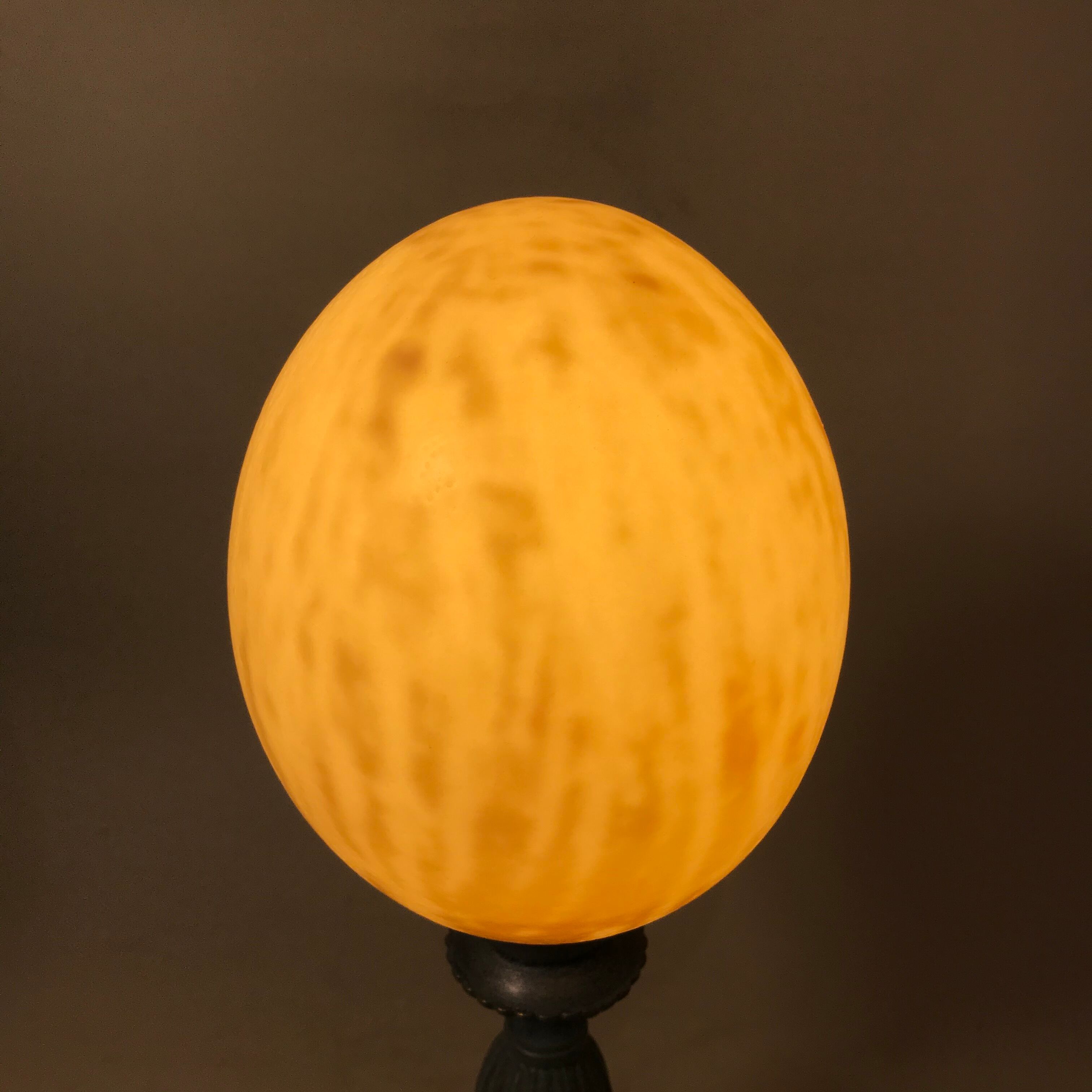 Vintage ostrich egg laying lamp