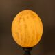 Vintage ostrich egg laying lamp