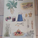 Vintage Deyrolle cardboard school poster