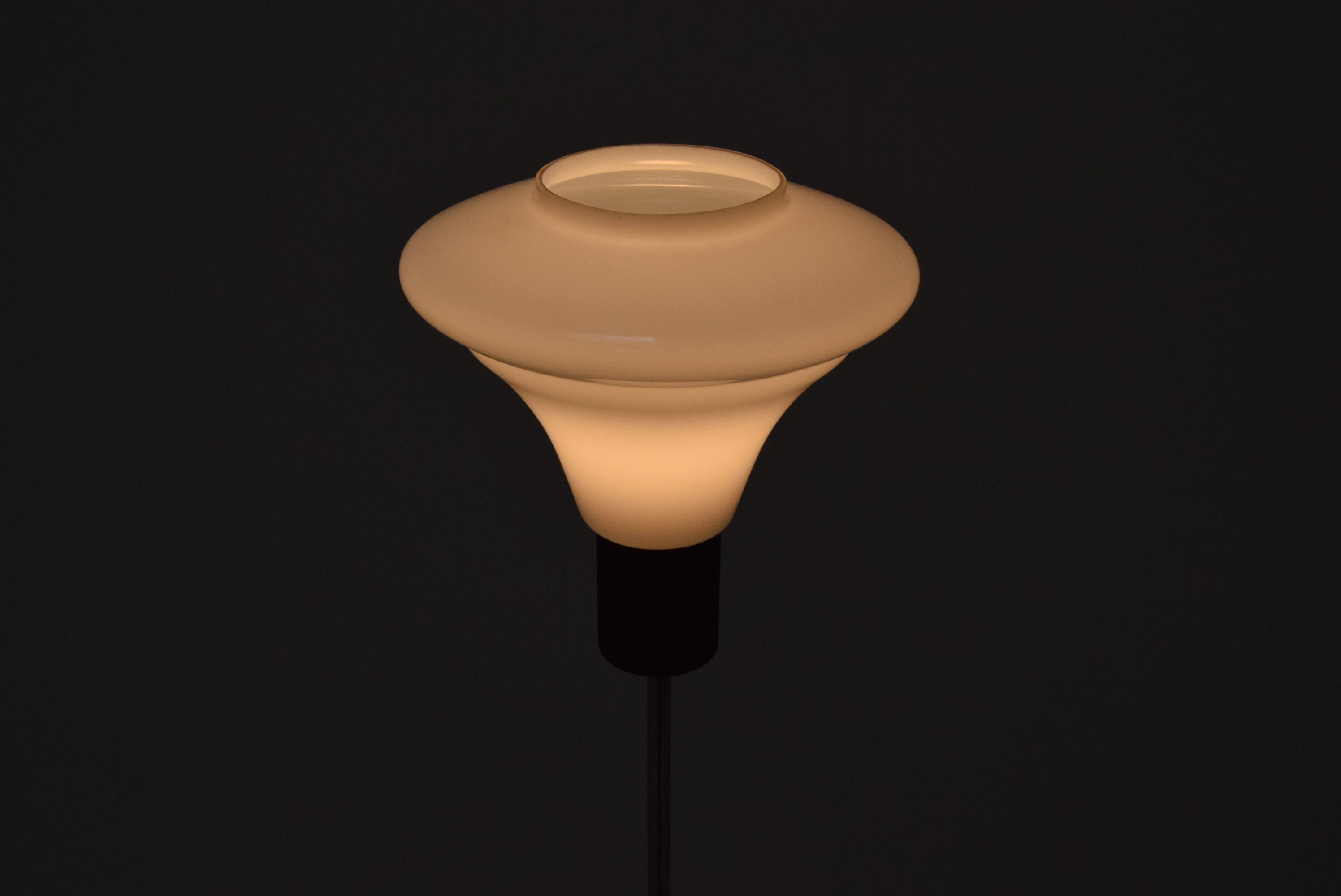 Mid-century floor lamp by Kamenicky Senov,1960
