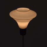 Mid-century floor lamp by Kamenicky Senov,1960