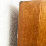 Vintage rattan cabinet, 1960