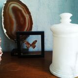 Pot en albâtre pièce d'échec