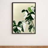 Illustration "Monstera Marbrée" by Noums Atelier
