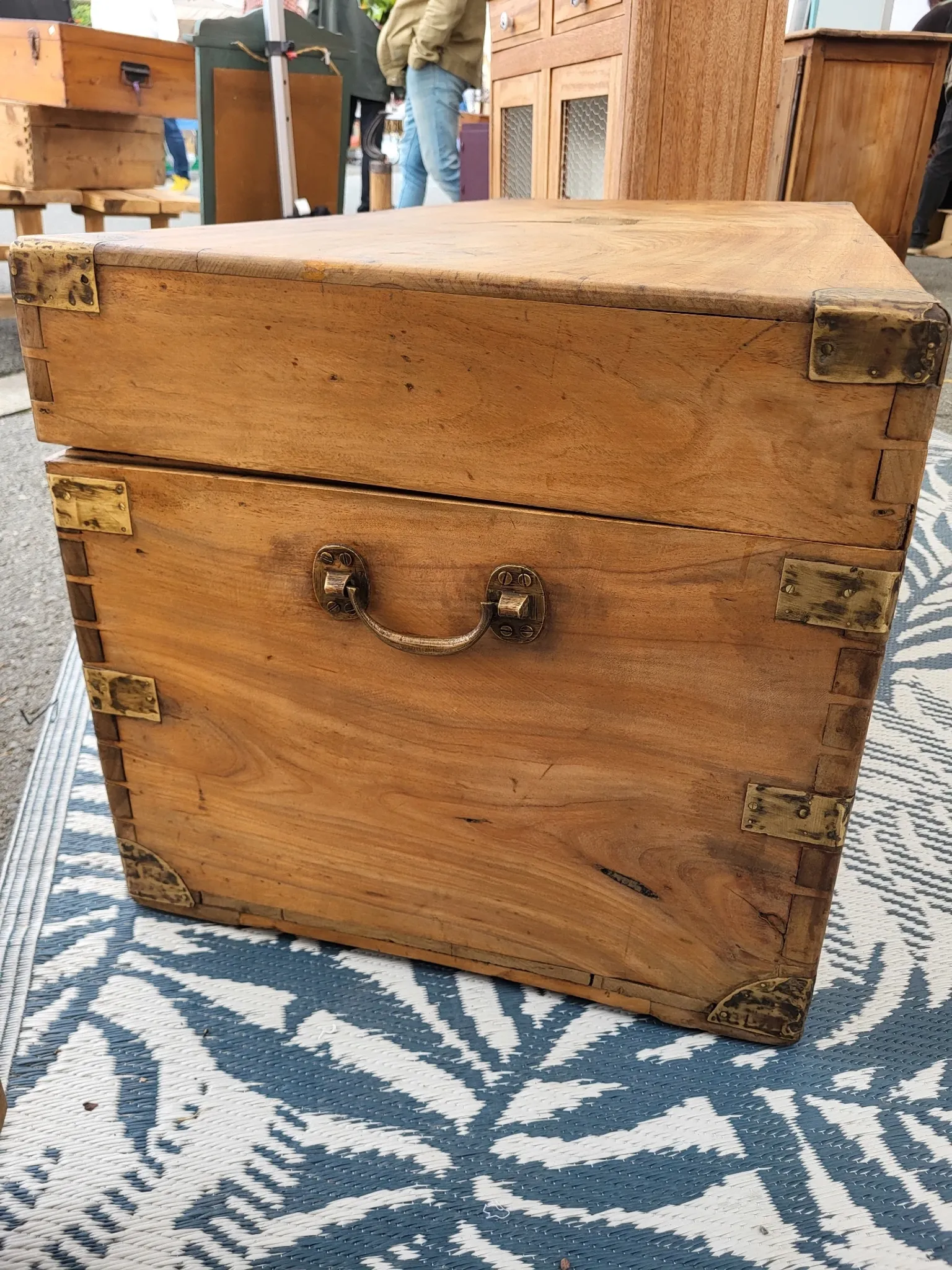 Old camphor wood trunk