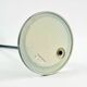Mid Century Scandinavian Table Lamp Model B195 by Jakobsson, Sweden, 1960s