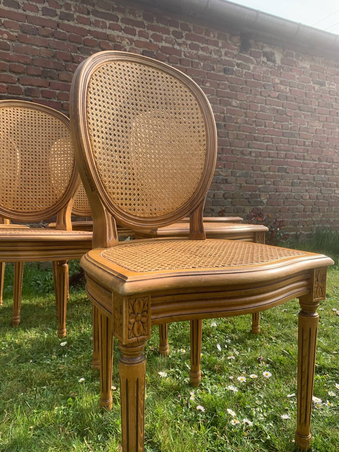 Set of 6 Louis XVI style cane medallion chairs