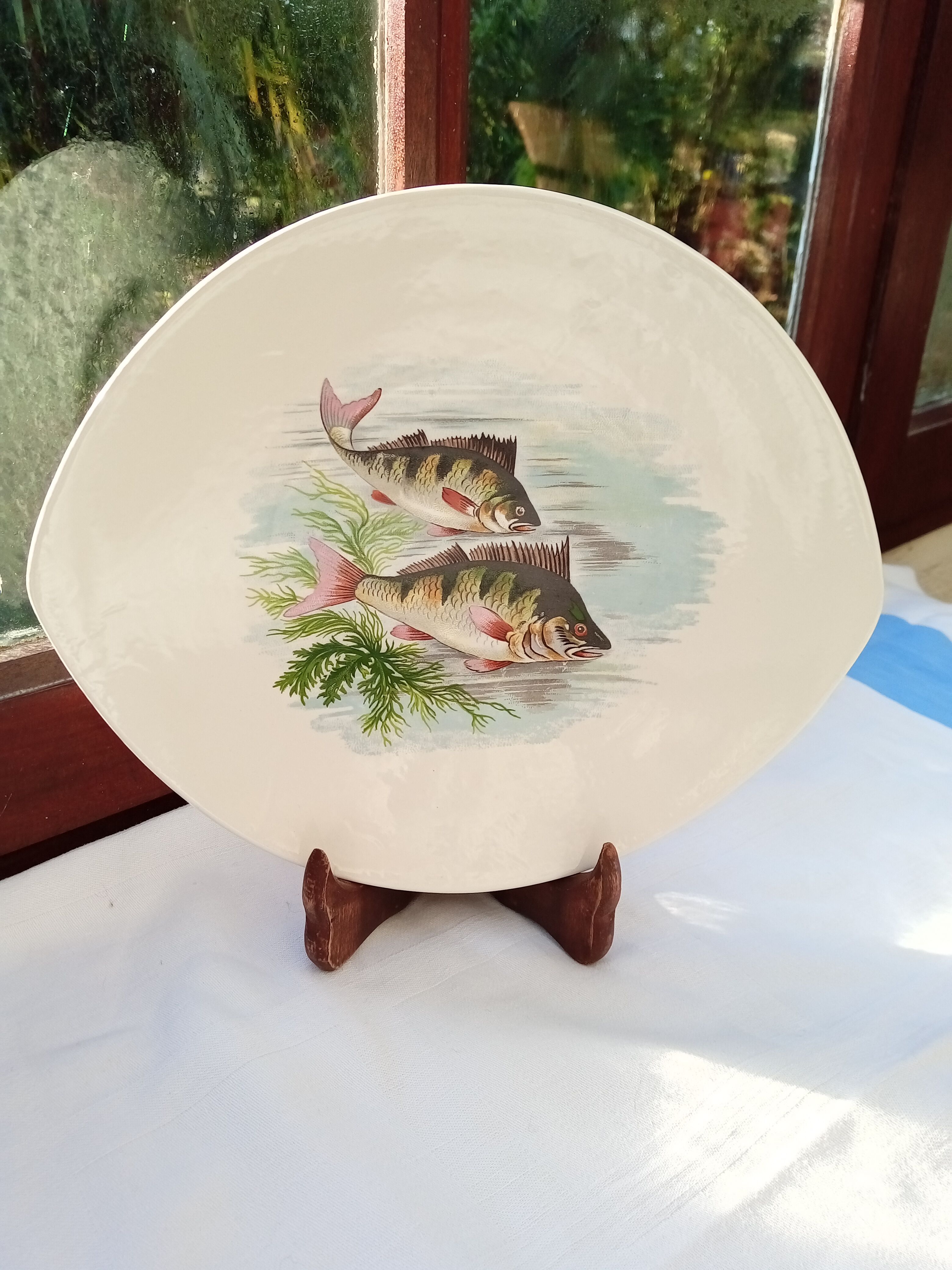 6 flat oval plates Salins