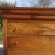 Antique Louis Philippe chest of drawers in solid walnut.