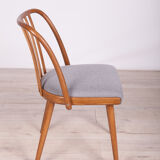 Dining Chairs by Antonín Šuman for Ton, 1960s, Set of 4