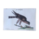 Planche ornithologique