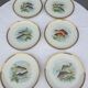 Set 12 plates porcelain fish edge laurel gold Bernardaud