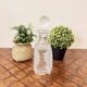 Lalique France crystal carafe – Parma model