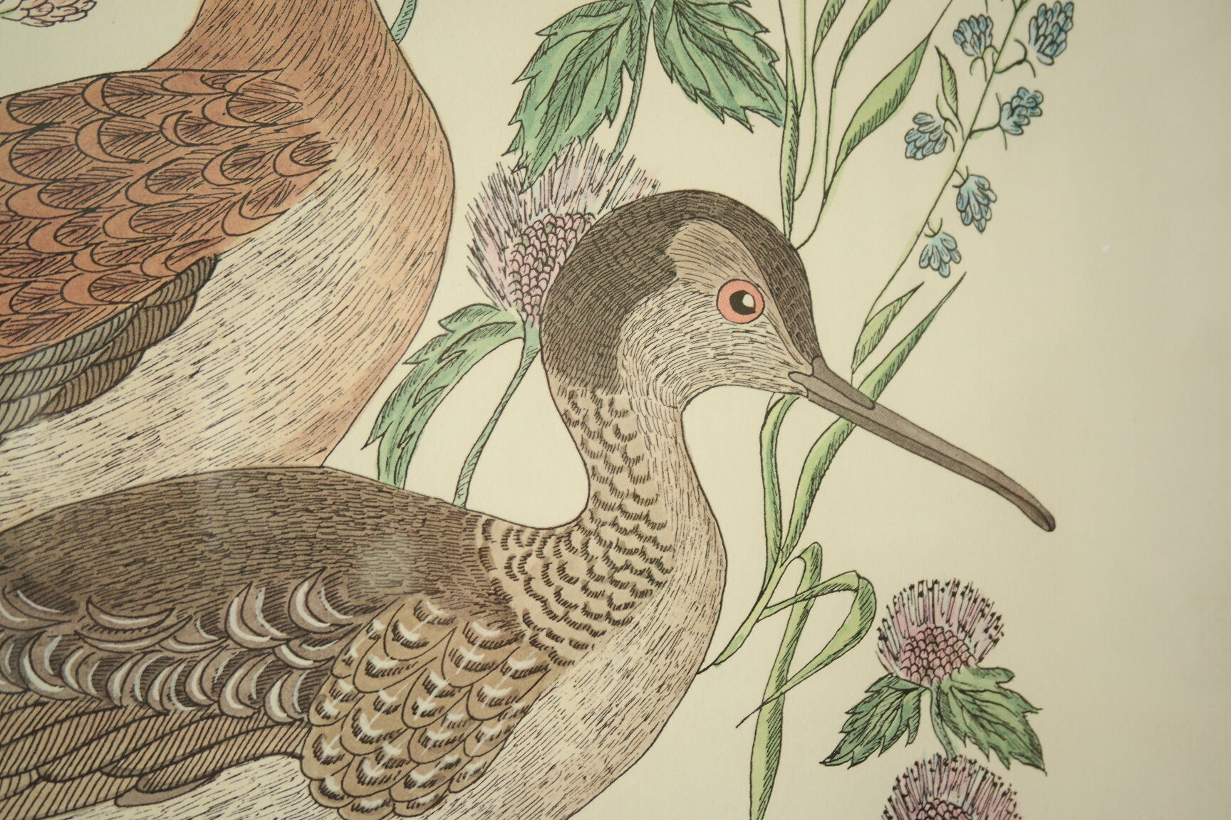 Tableau vintage aquarelle ducks of terronblan monbaly dayelle