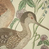 Tableau vintage aquarelle ducks of terronblan monbaly dayelle