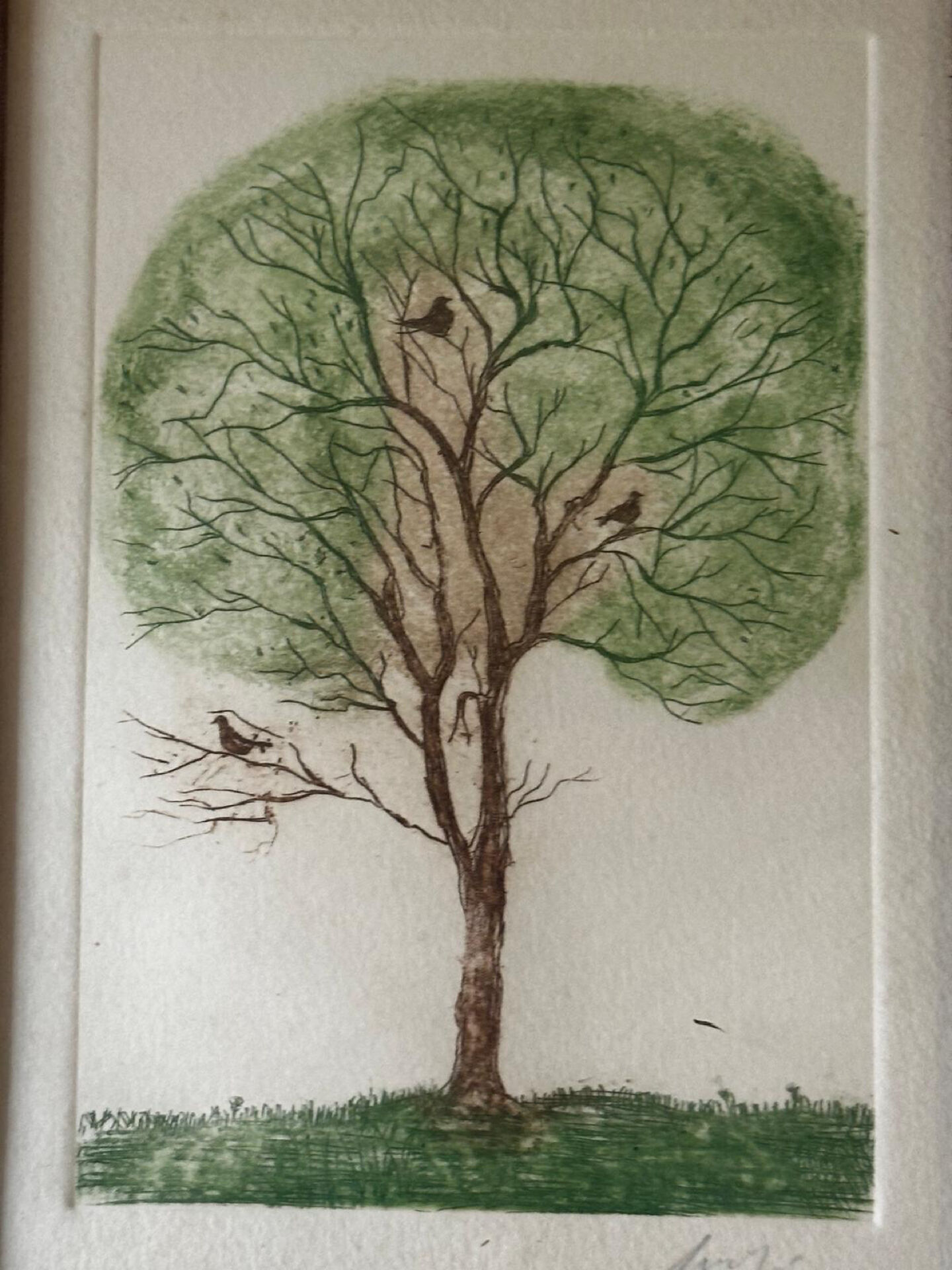 Original signed drawing – Tree with birds - frame 33/28 cm