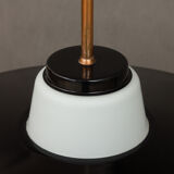 Bent Karly pendant lamp for Lyfa