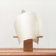Vintage Table Lamp Plan B by Iris Kremer for Domus
