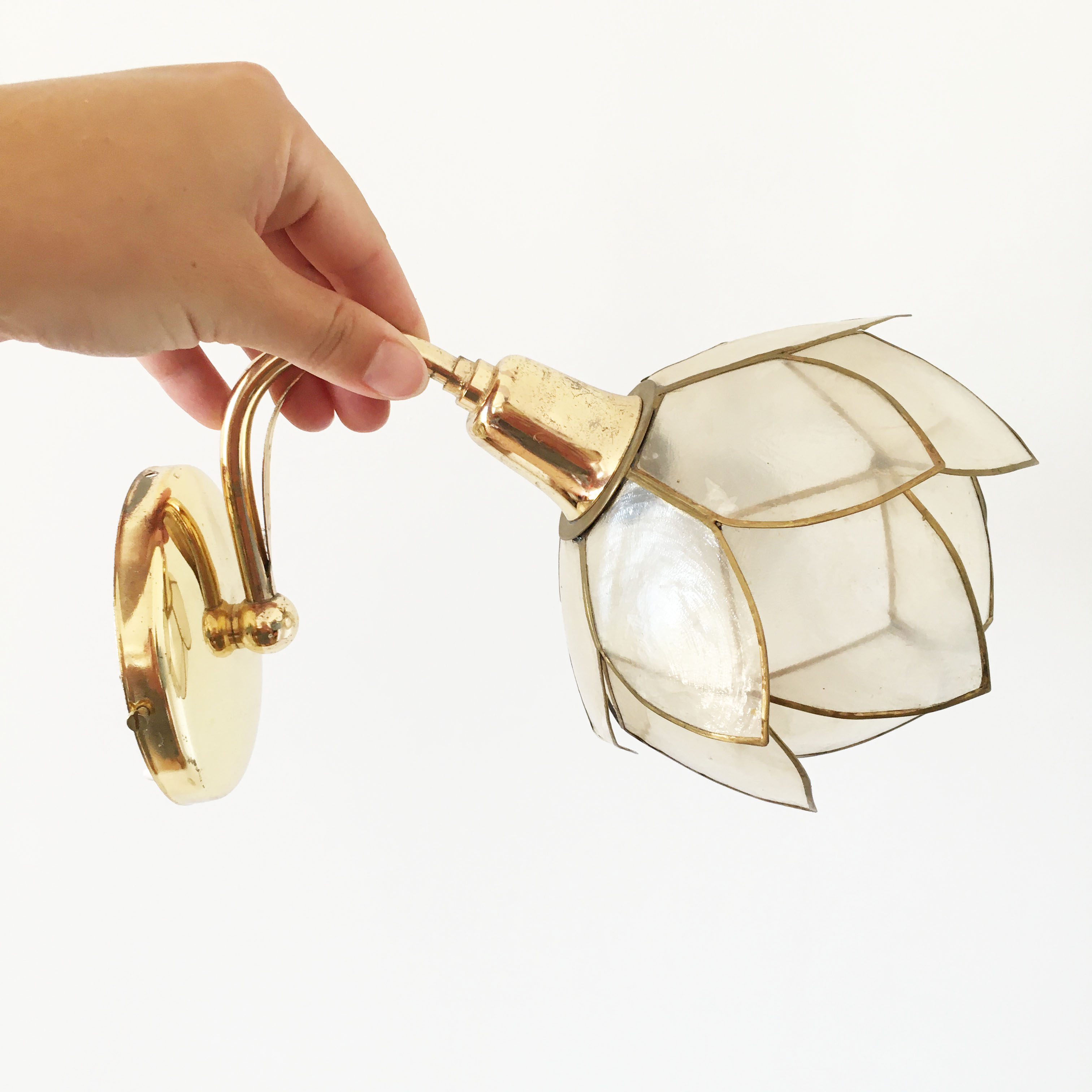 Pair of mother-of-pearl flower sconces