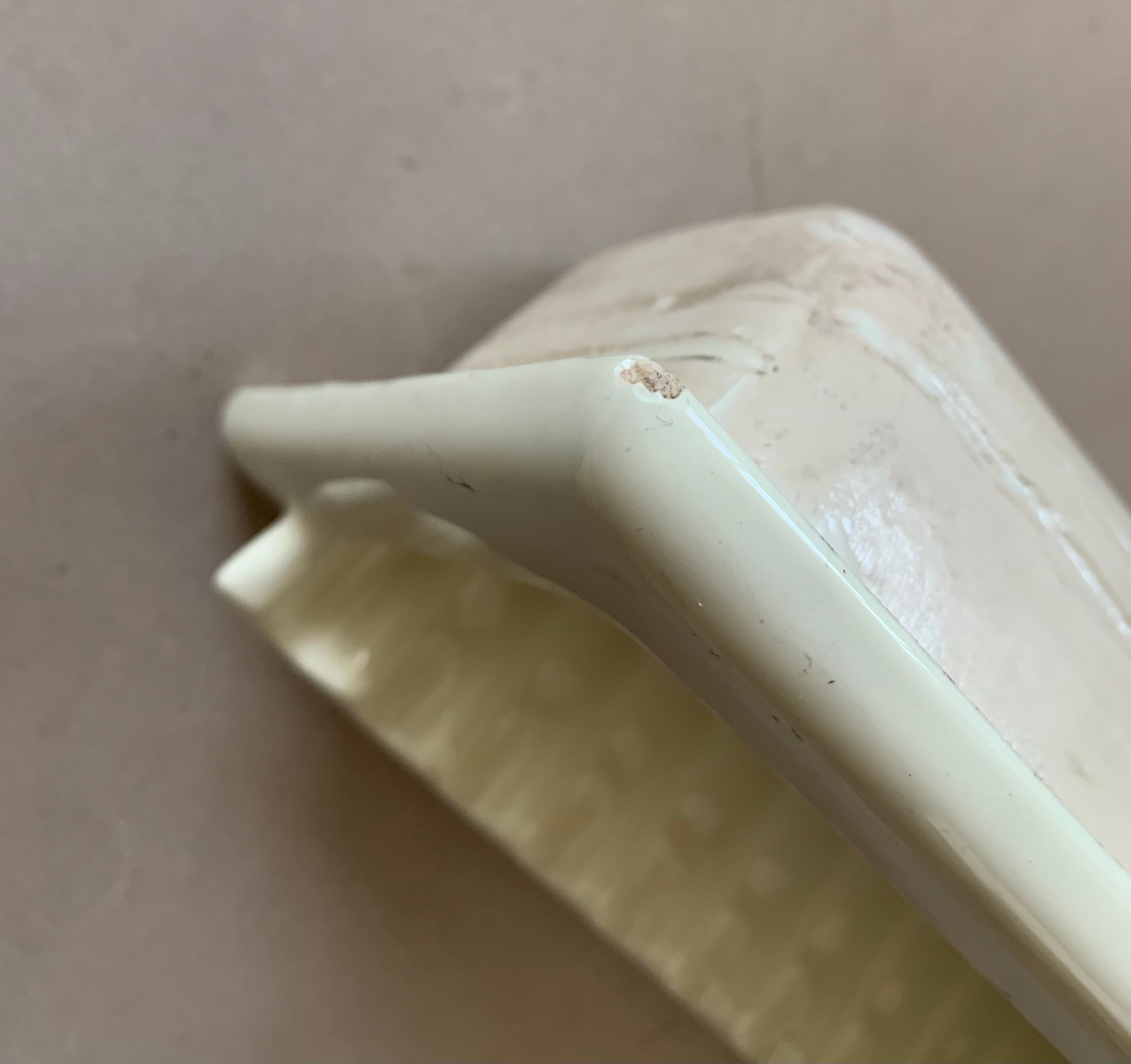 Wall mounted soap holder