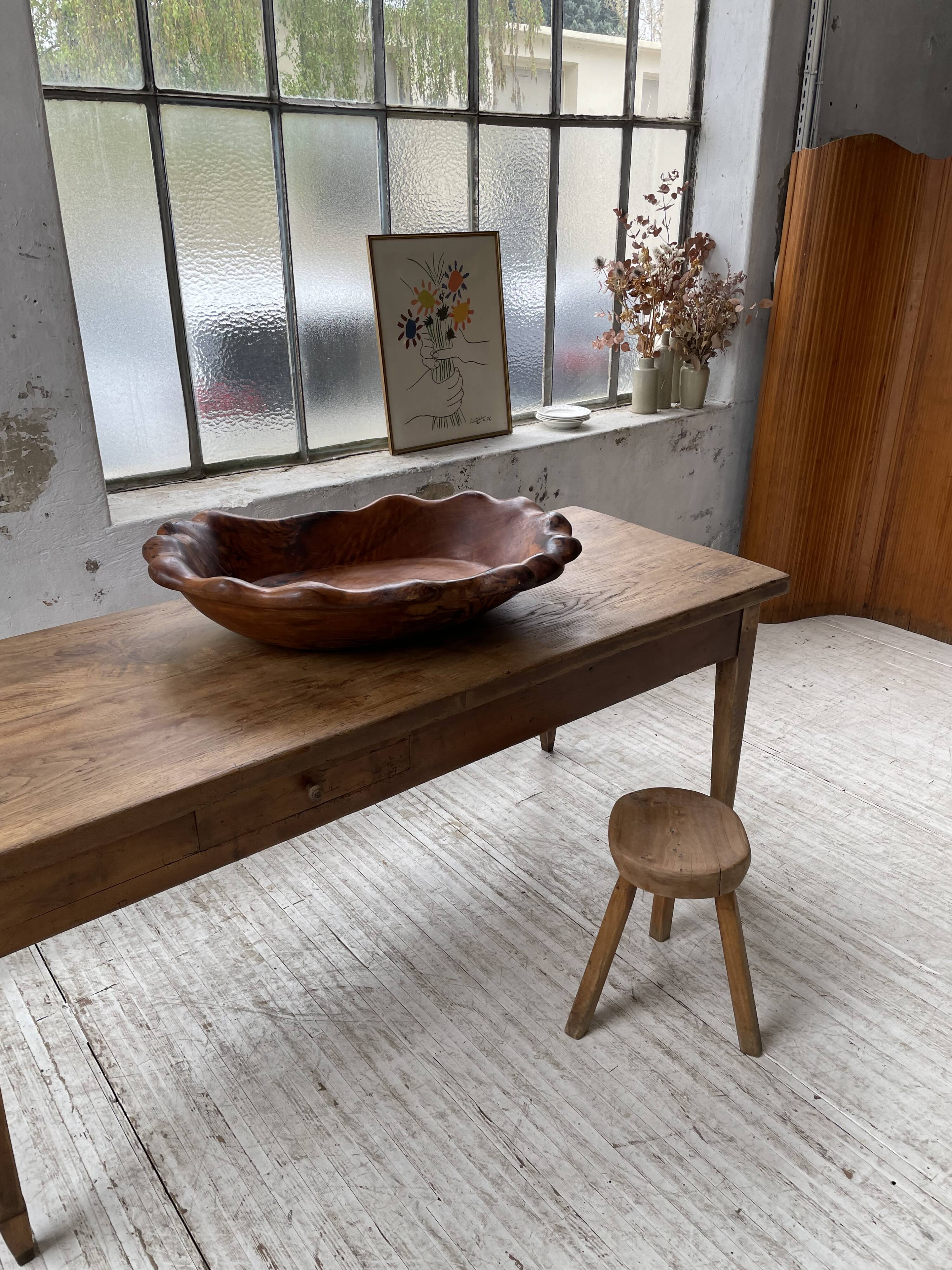 XL thuja root wooden dish