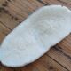 Corail blanc Fungia 24 cm