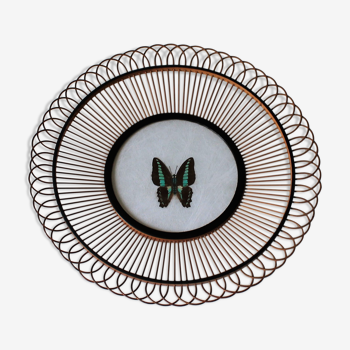 Assiette murale bambou & papillon vintage