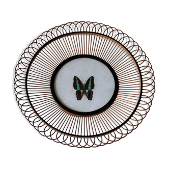 Assiette murale bambou & papillon vintage