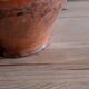 Terracotta jug